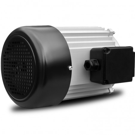 Elektromotor 230V 3kW für Holzspalter