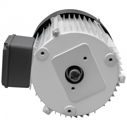Elektromotor 230V 3kW für Holzspalter