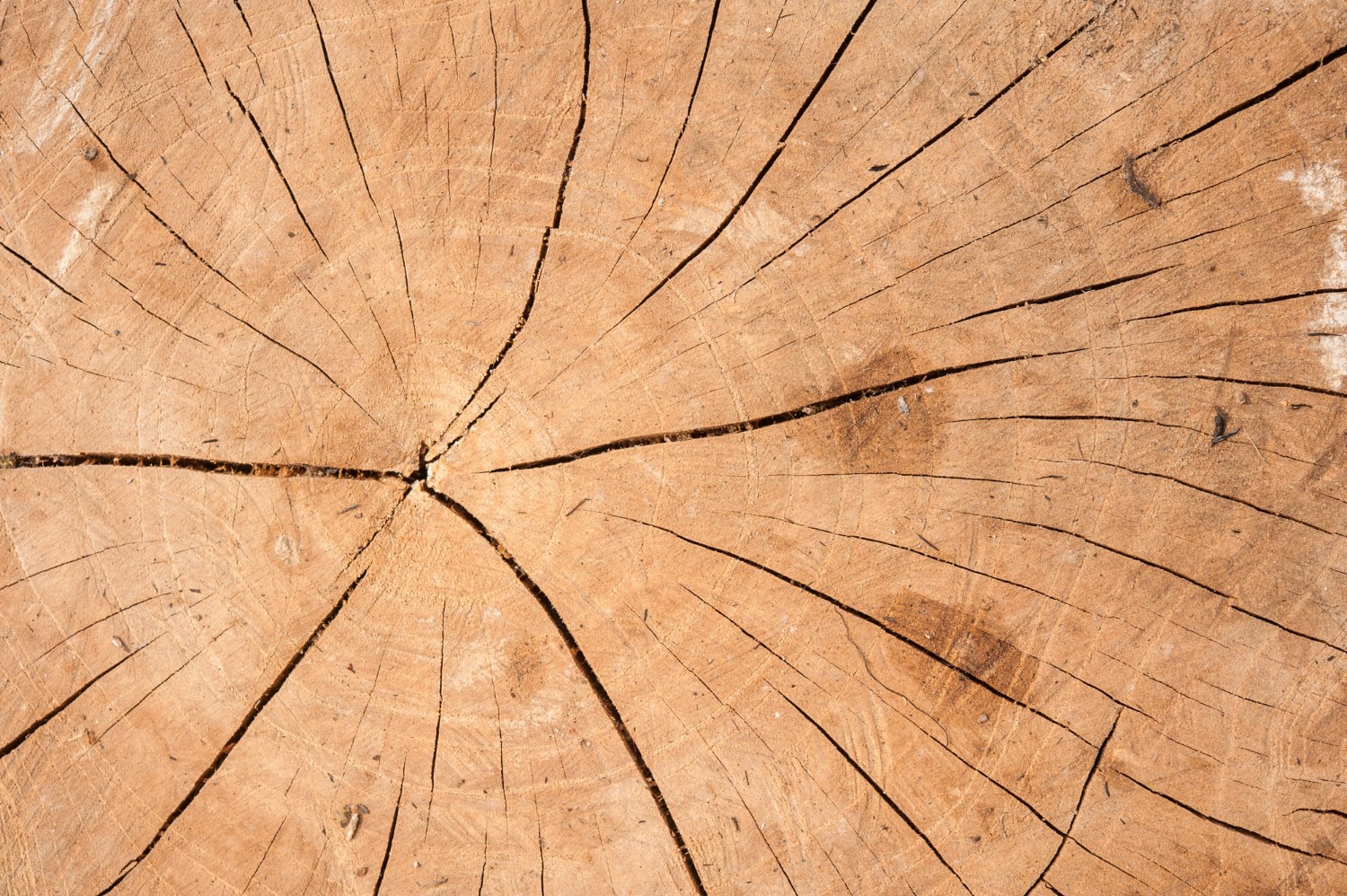 Wie und womit sollte man Holz sandstrahlen?