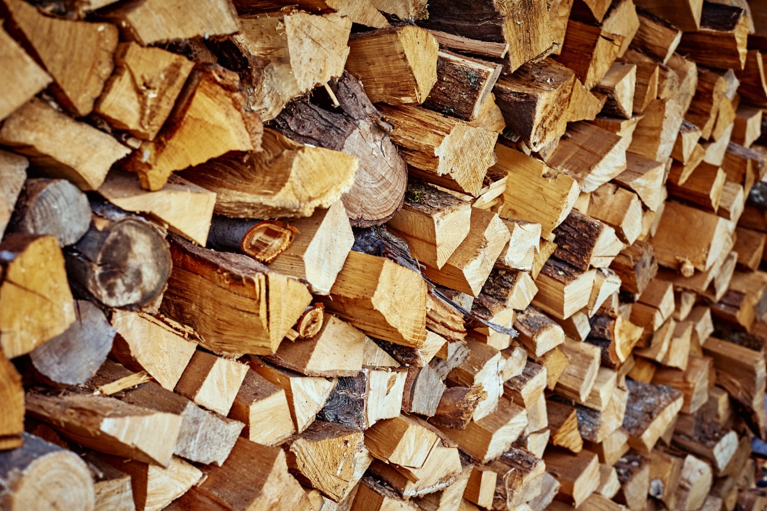 Produktion von Kamin- und Brennholz. Welche Maschinen sollte man wählen?